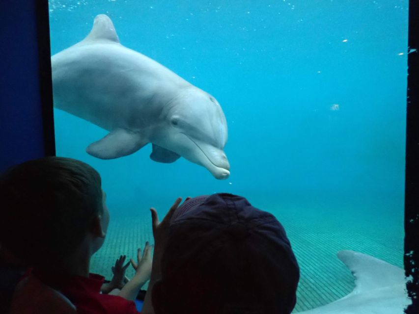 St. Augustine: Marineland Park Admission Ticket - Important Restrictions