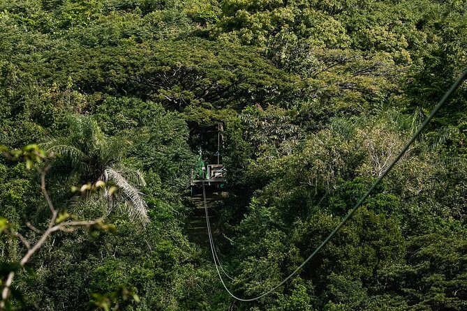 St. Kitts Zipline Experience - Soaring Above the Valley Floor