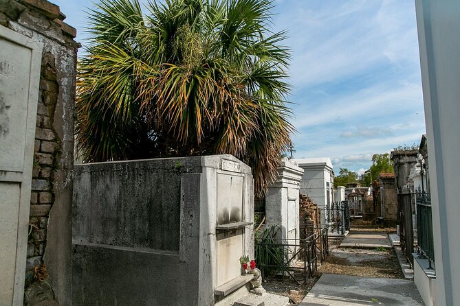 St. Louis Cemetery No. 1 Official Walking Tour - Guided Tour Experience