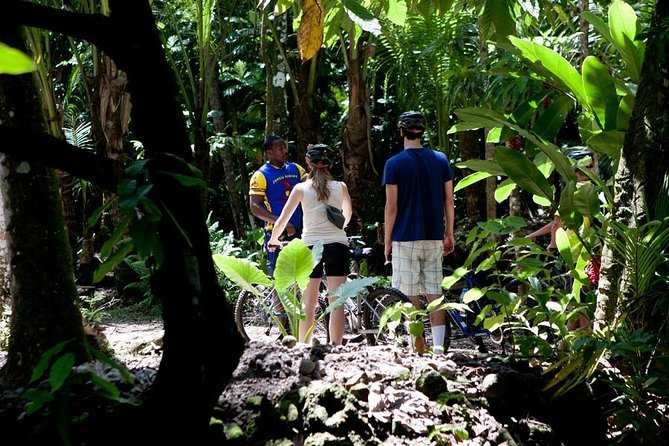 St Lucia Bike and Hike - Tour Experience