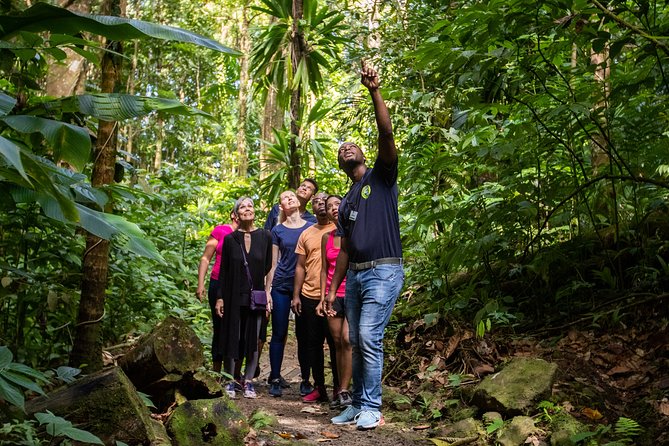 St Lucia Ultimate 3: Aerial Tram, Zipline and Hiking at Rainforest Adventures - Additional Information