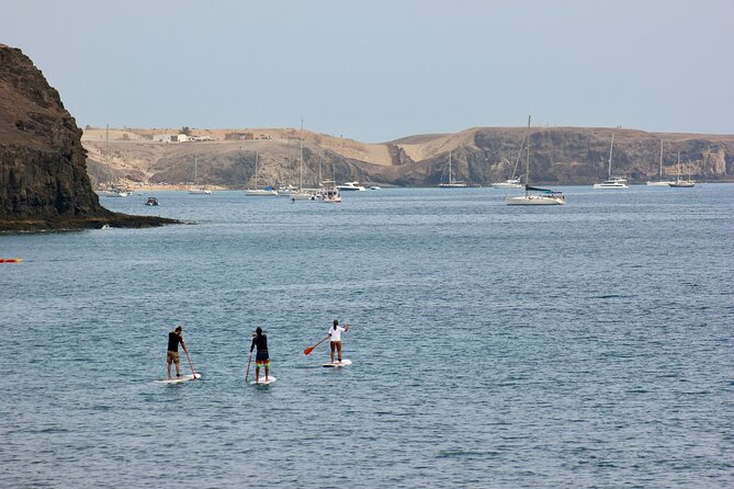 Stand Up Paddle Boarding Lesson in Playa Flamingo - Meeting Point and End Point