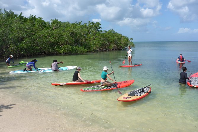 Stand up Paddle in Paradise - Getting to the Paddle School