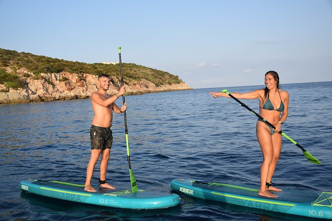 Stand Up Paddle With Dolphins - Spotting Dolphins in Golfo Aranci