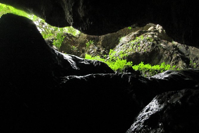 Standard Canyoning Trip in The Crags, South Africa - Minimum Age and Group Size