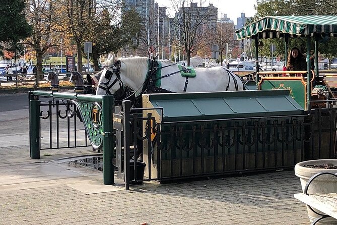 Stanley Park Horse-Drawn Tour - Meeting and Pickup