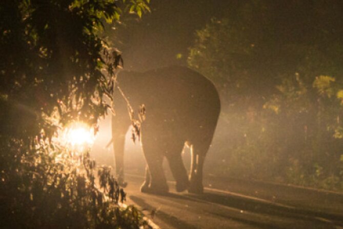 Stargazing Safari - Pickup Information