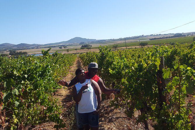 Stellenbosch Franschhoek Full-Day Tour With Cheese Tasting - Inclusions