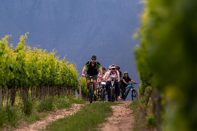 Stellenbosch Half Day Winelands Cycle Tour - Meeting and Pickup