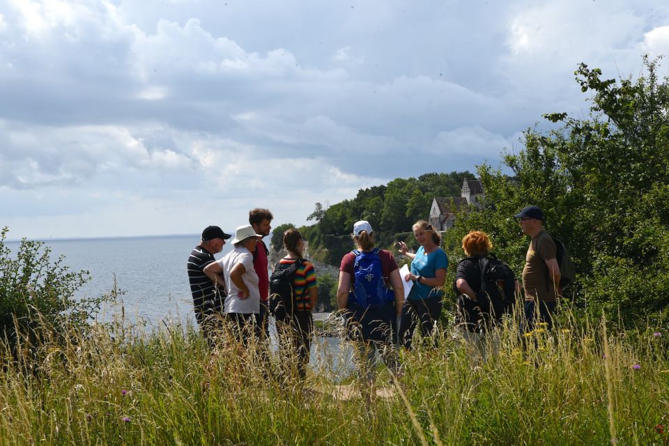 Stevns Klint: Scenic Hiking at a UNESCO World Heritage Site - Key Attractions