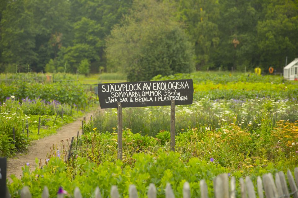 Stockholm: Delightful Djurgården Private Walking Tour - Additional Information