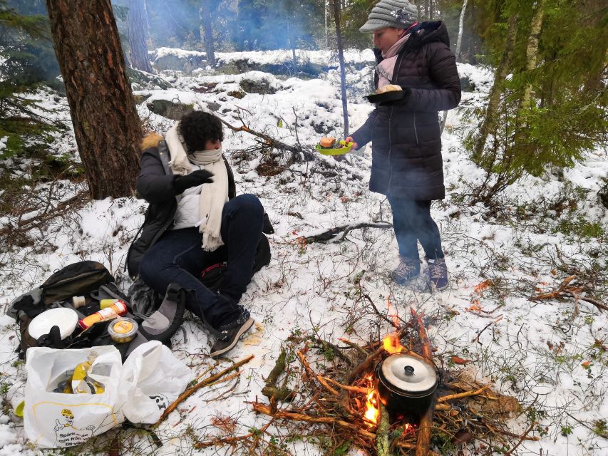 Stockholm: Winter Nature Hike With Campfire Lunch - Discovering Swedish Flora and Fauna