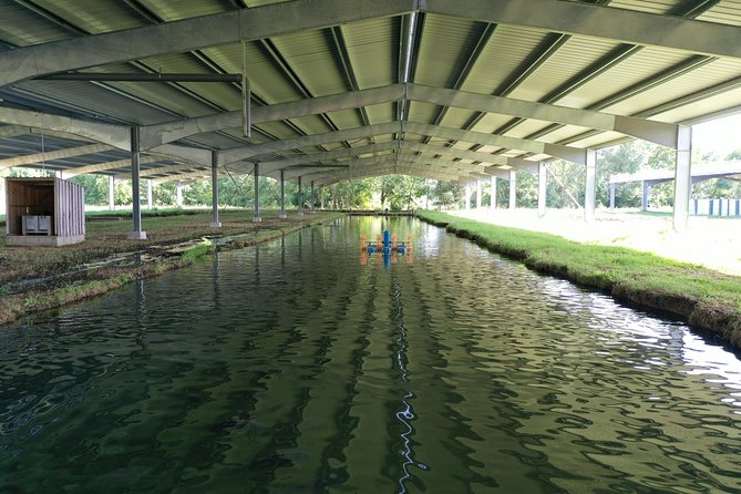 Sturgeon Fish Farm Visit With Caviar-Making Workshop in Neuvic - Logistics and Meeting Information