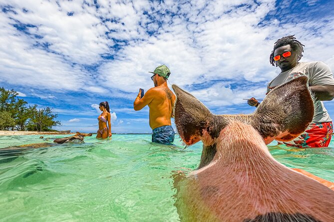 Suncay Swimming Pigs Adventure With Lunch at Pigs Beach - Cancellation Policy