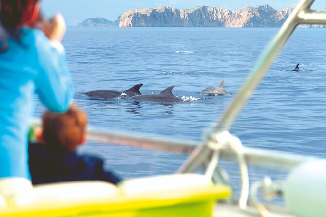 Sunrise Boat Trip in Mallorca With Dolphin-Watching - Additional Details to Note