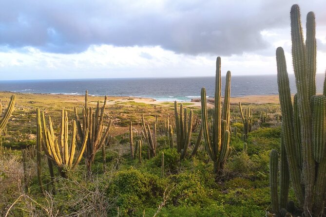 Sunrise Hike With Private Guide to Natural Bridge (North Coast) - Activity Details