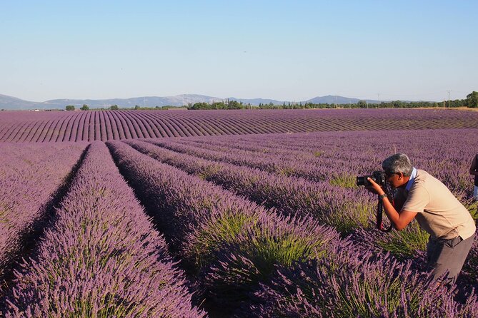 Sunset Lavender Tour in Valensole With Pickup From Marseille - Lavender Distillery Visit