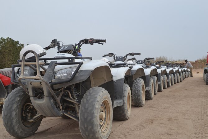 Super Safari ATV, Drive Buggy Car, Camel Ride, Bedouin Dinner, Show-Hurghada - Transportation and Logistics