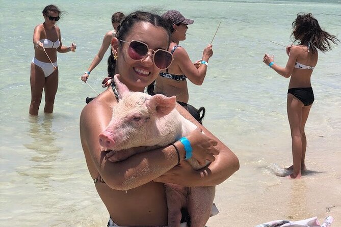 Swim With the Pigs and Explore Caves in Nassau - Swim and Feed Pigs