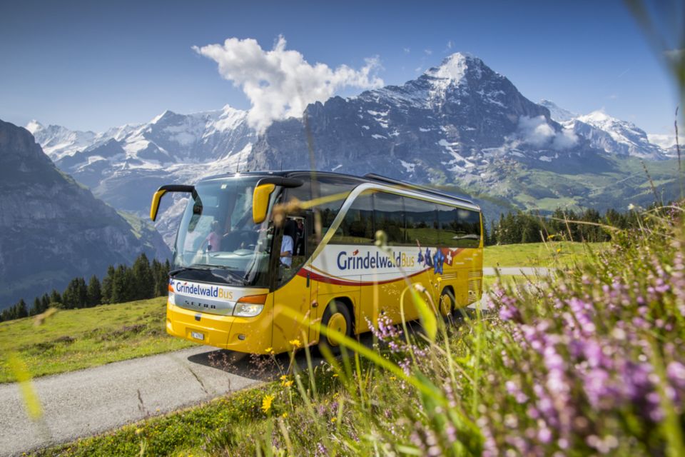 Switzerland: Berner Oberland Regional Pass in 2nd Class - Discounts and Benefits