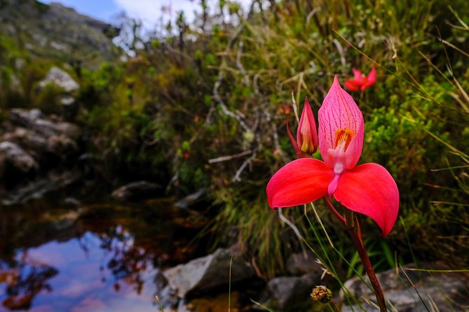 Table Mountain Summit Hike via Kasteelspoort - Health and Fitness Considerations