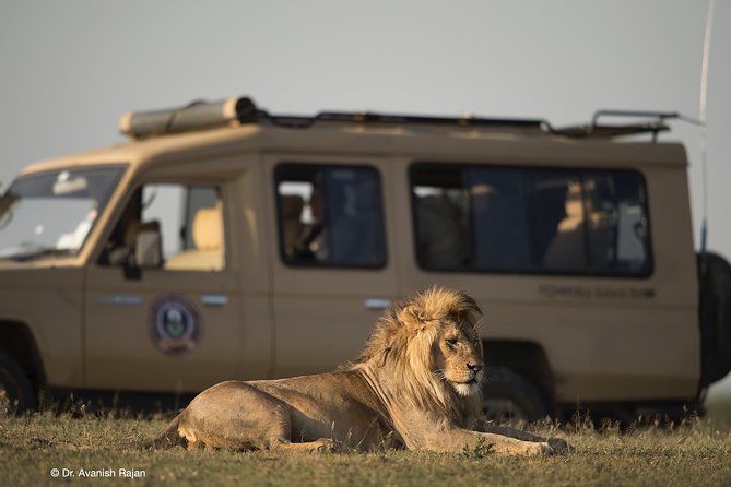 Take Me to Tarangire and Ngorongoro -3 Days - Tarangire National Park