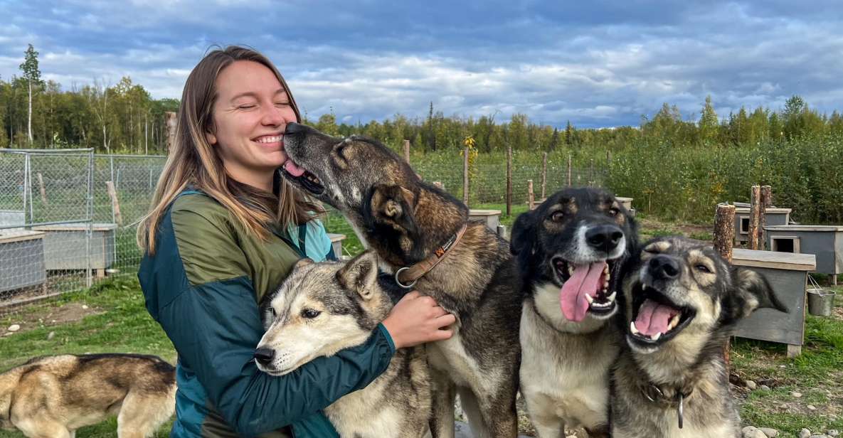 Talkeetna: Summer Sled Dog Kennel Tour - Tour Inclusions