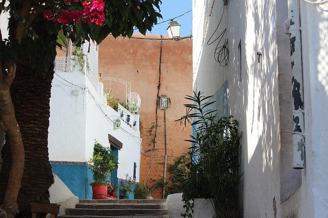 Tangier Guided Tour From Seville With Lunch Included - Tangier Medina Exploration