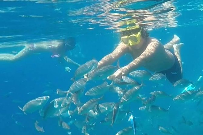 Taormina Snorkeling Experience - Reviews and Ratings