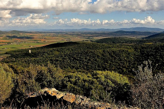 Tarot Garden and Maremma Park - What to Expect