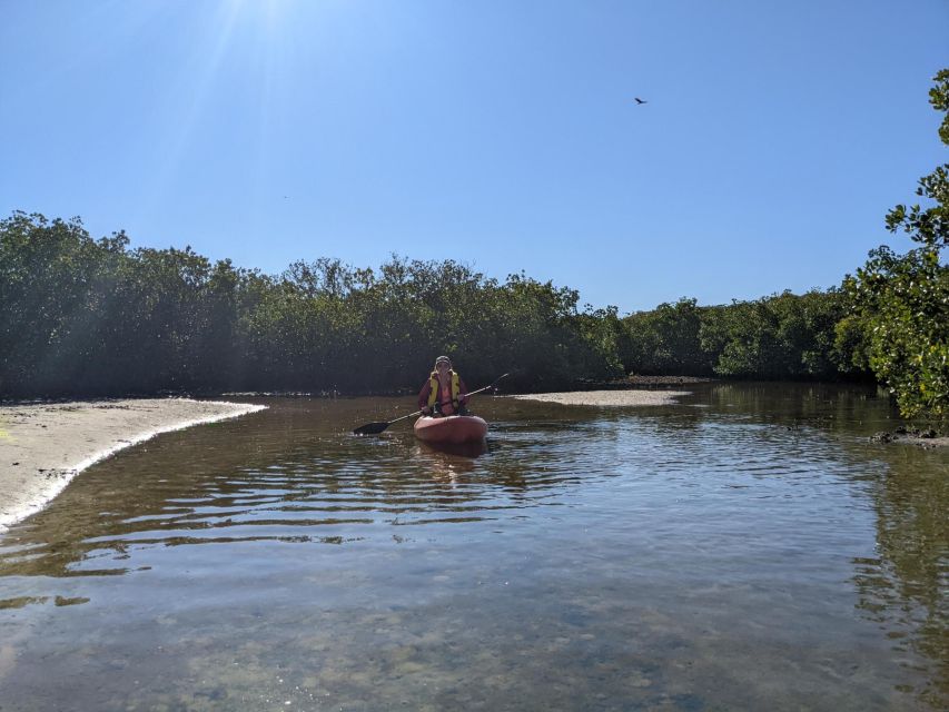 Tarpon Springs: Guided Anclote River Kayaking Tour - Experience Highlights