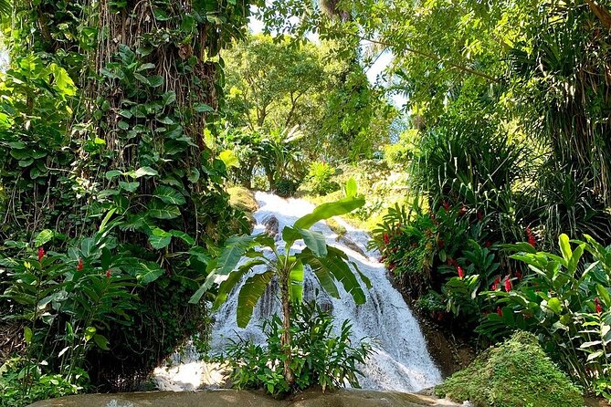 Taste of Jamaica Food Tour From Ocho Rios - Tour Details