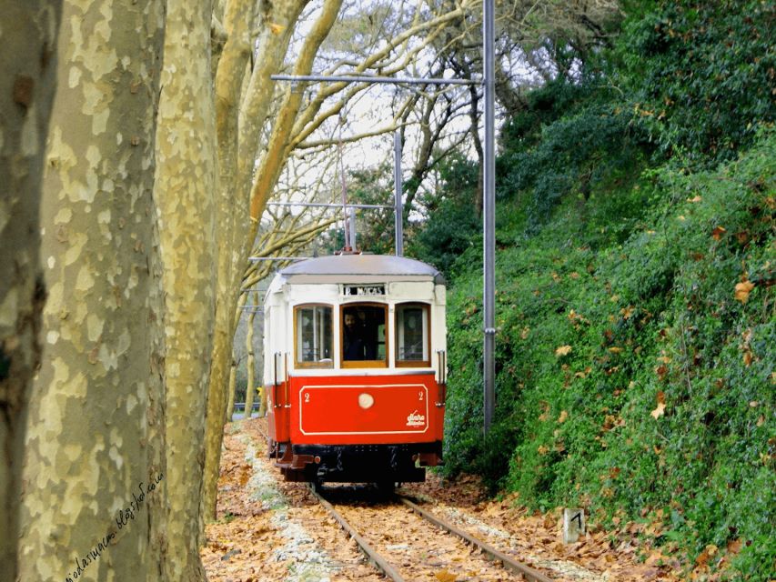 Taste of Sintra's Wonders Wine&Tapas Private Tour - Itinerary Overview