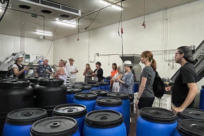 Tavira Olive Experience Factory Tour and Tasting - Souvenirs