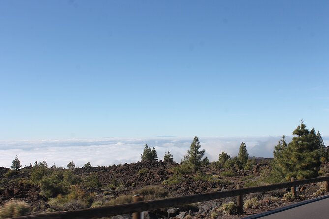 Teide Volcano National Park Quad Biking Tour - Customer Reviews