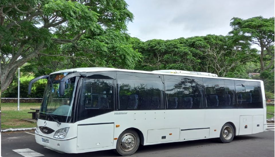 Terceira - Private Group - Full Day Guided Bus Tour - Churches, Holy Spirit Chapels, and Landmarks