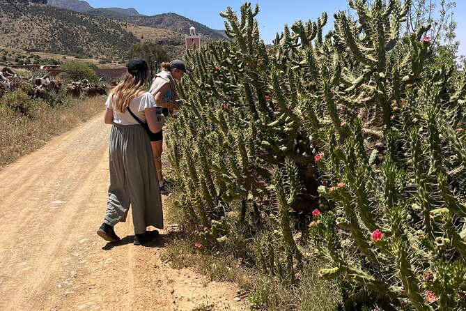 Terre D'Atlas Pottery and Nature Course in Amizmiz - Accessibility and Participation