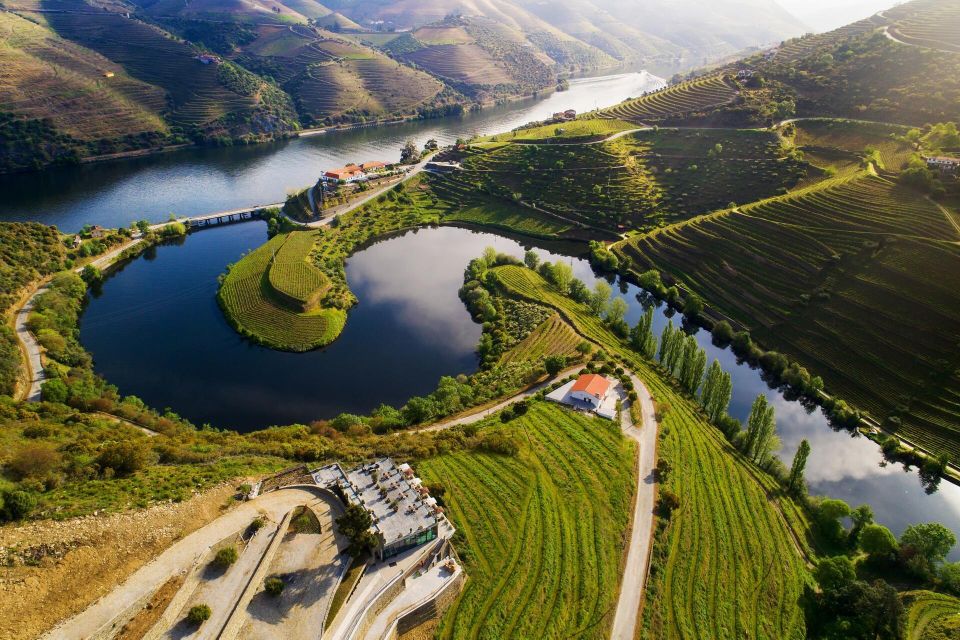 Tesla Premium Private Tours - Porto to Douro Valley - Winery Visits and Tastings