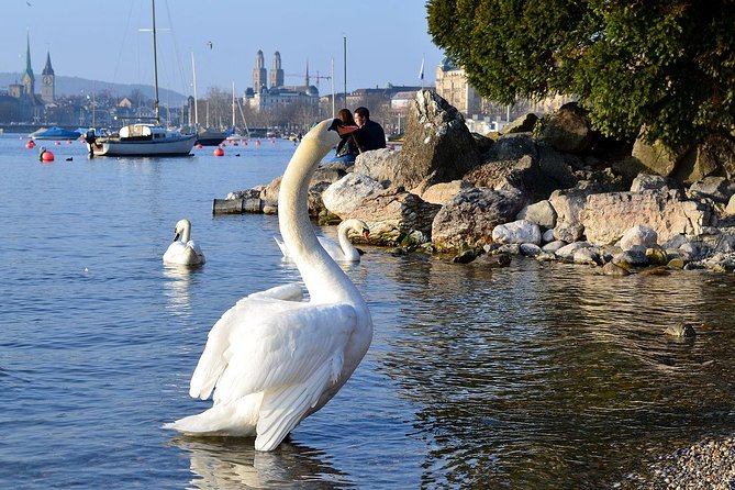 The Best of Zurich Including Panoramic Views in a Small Group Walking Tour - Accessibility and Attire Requirements