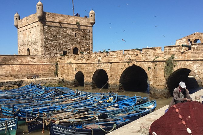 The Charms of Essaouira Mogador and the Argan Tree Forests - Hassle-free Pickup and Drop-off