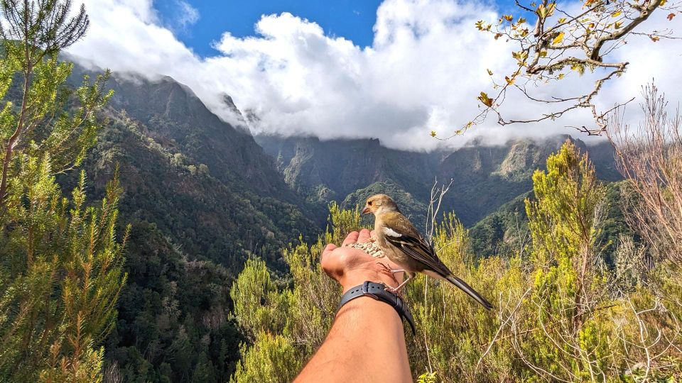 The Fabulous Pico Do Arieiro in 4h: Immersive Experience - Camacha Village Exploration