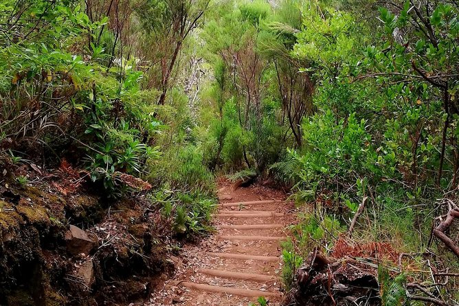 The Lakes Walk - Health and Safety Considerations