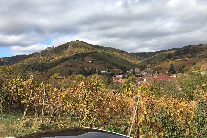 The Little Alsatian Tour With a Local Private Friendly Driver and a Tesla - Availability