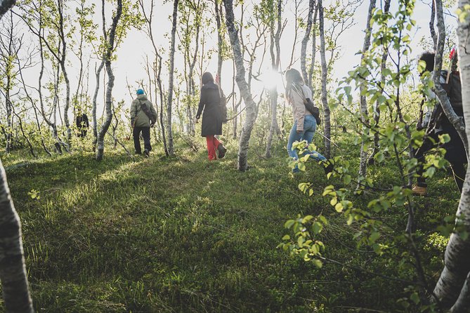 The Nature Bow Game - Hiking and Archery in the Nature - Activity Details