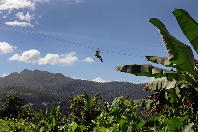 The Ziplining at El Yunque in Puerto Rico - Hiking in the Rainforest