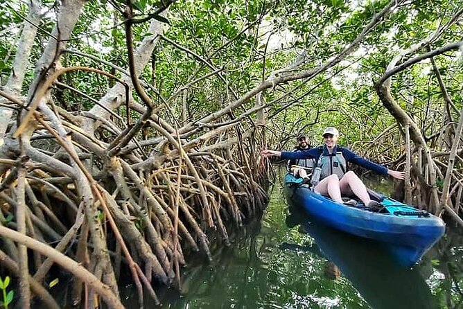 Thousand Island Mangrove Tunnel, Manatee & Dolphin Kayak Tour W/Cocoa Kayaking - Guide Experience