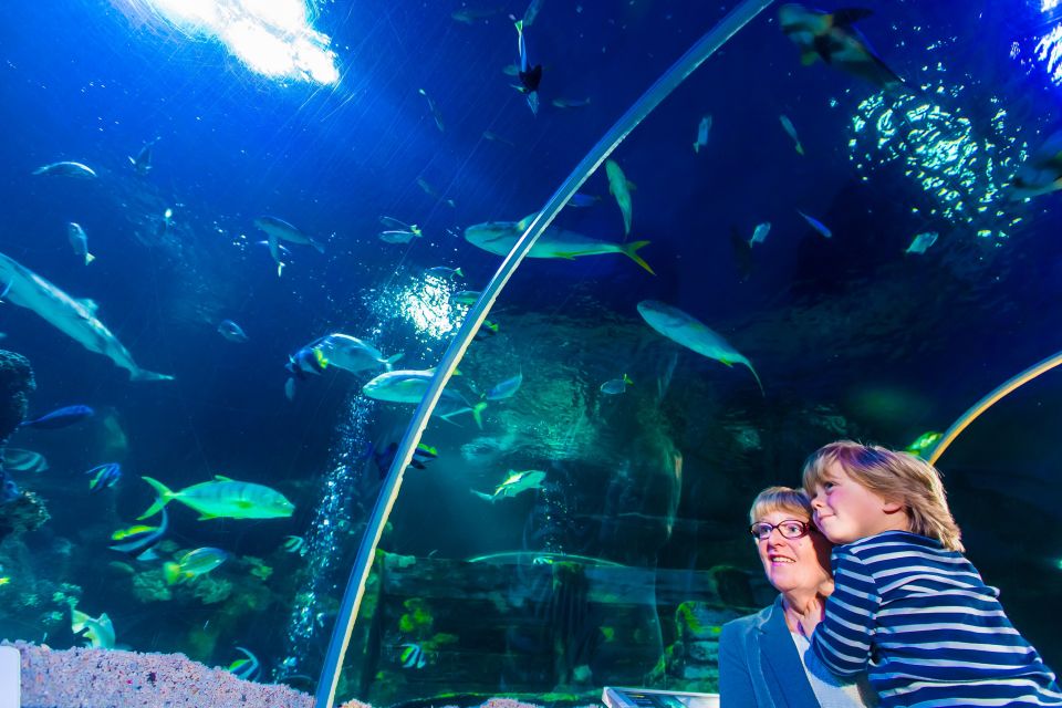 Ticket for Sea Life Speyer - Ticket Pricing and Policies