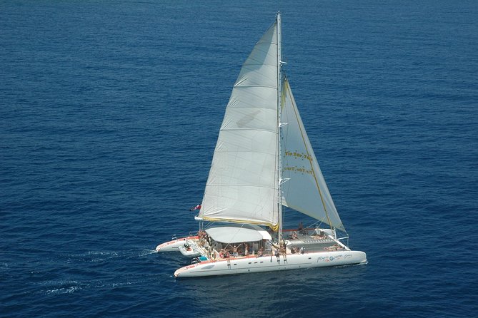 Tip Top Catamaran - Reviews and Ratings