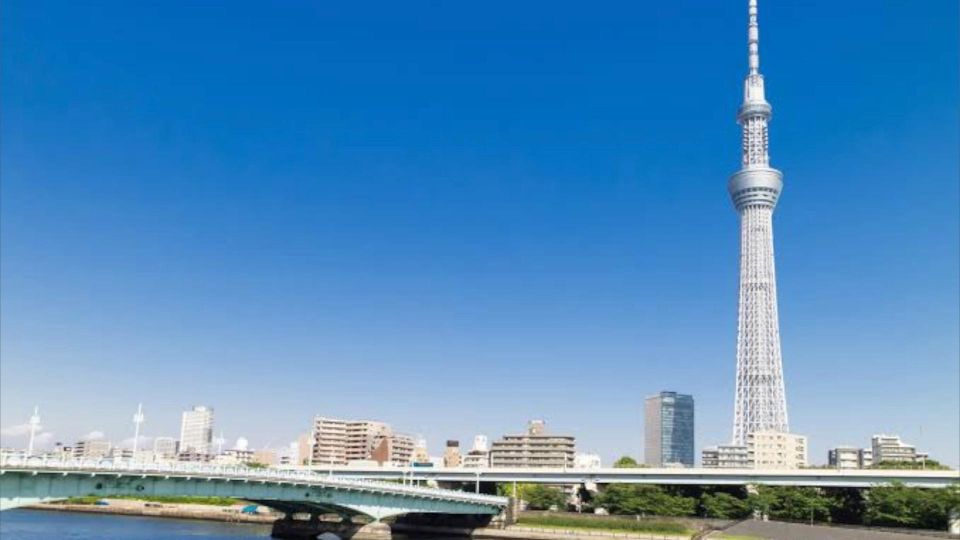 Tokyo: Customizable Private Guided Walking Tour - Tour Inclusions