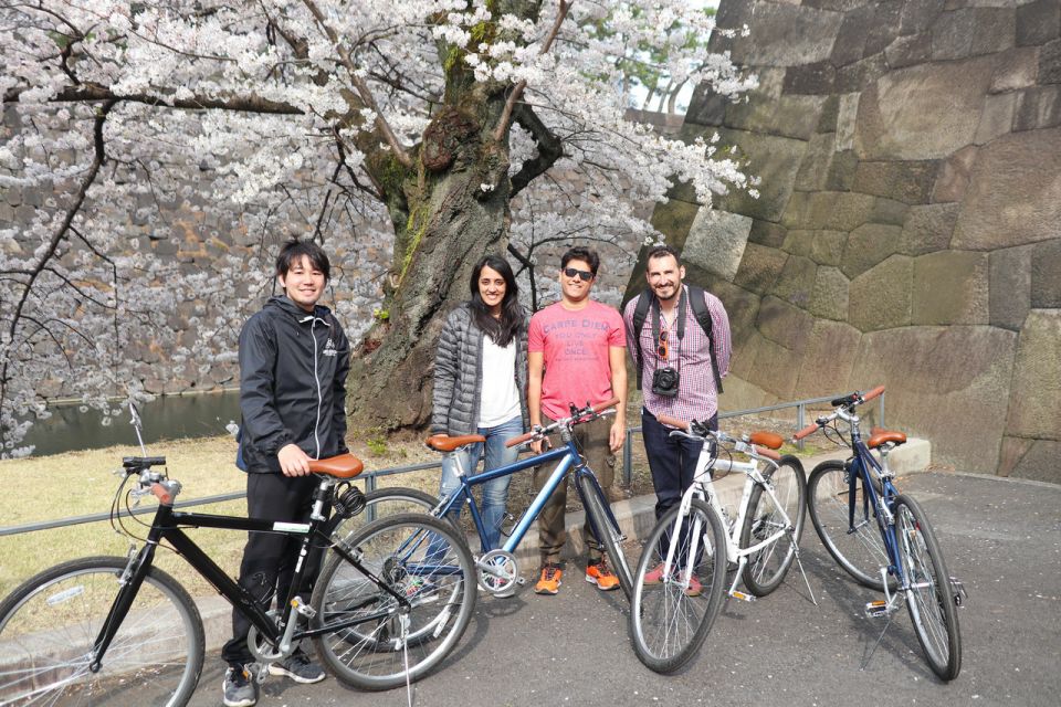 Tokyo: Cycling Tour With Lunch - Itinerary Highlights